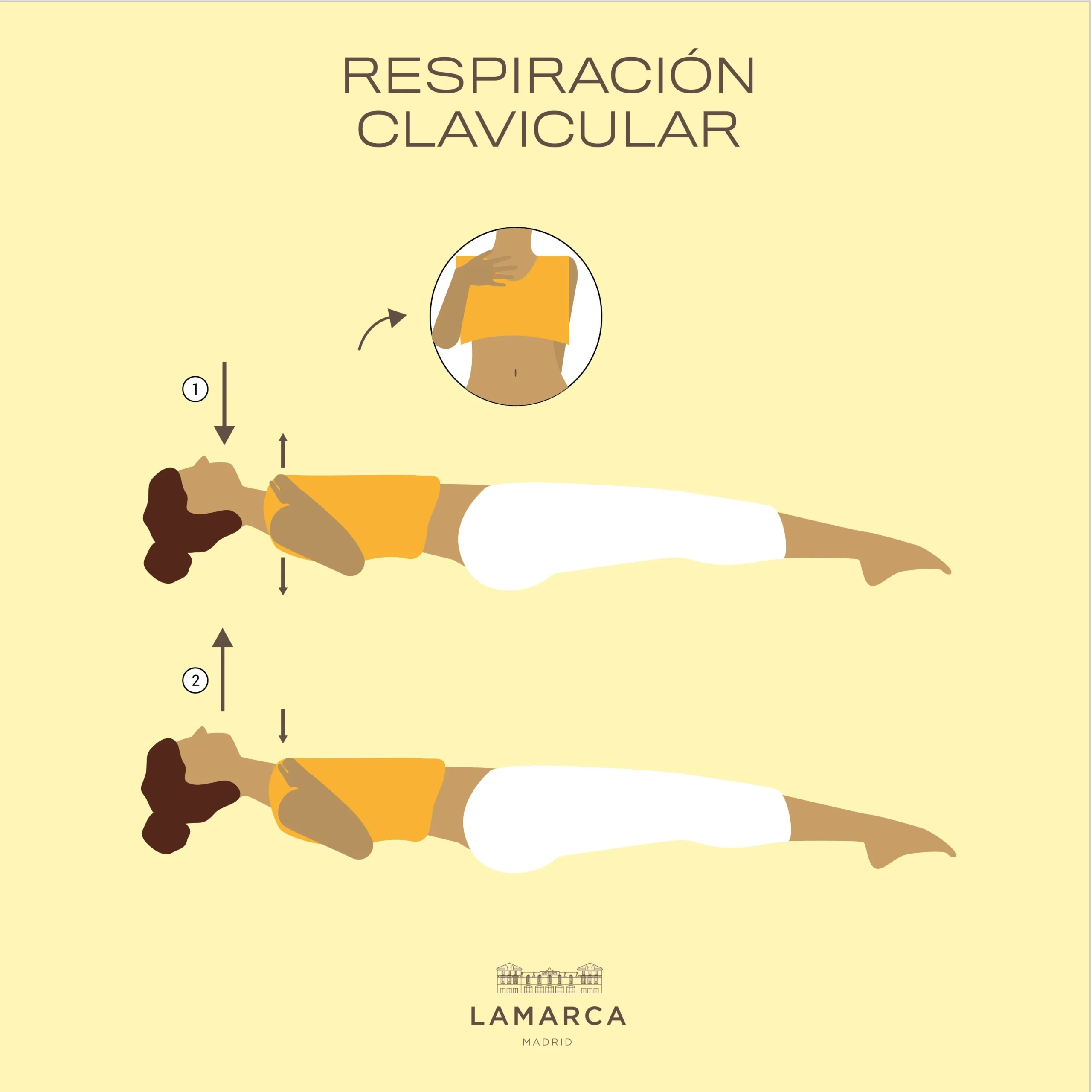 respiracion clavicular yoga - Cómo sacar aire de la clavicula