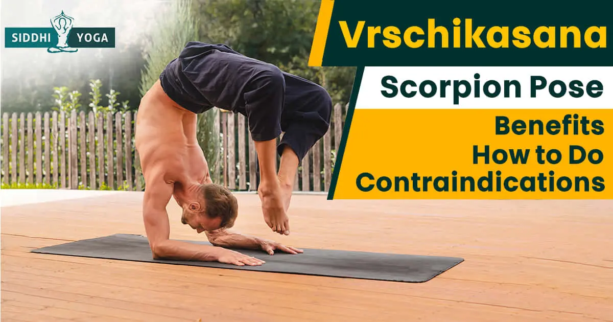 escorpion yoga pasos - Cuál es la posicion del alacran