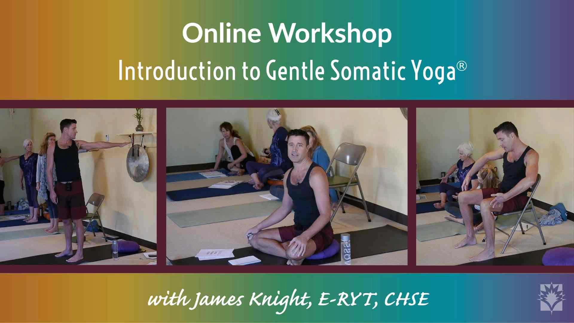somatic yoga teacher training - How do I become a somatic exercise instructor