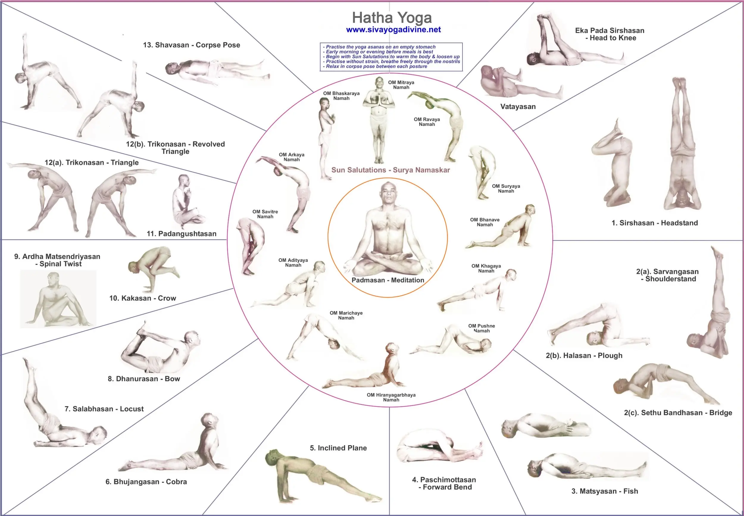 sivananda yoga sequence - How many poses are there in Sivananda Yoga