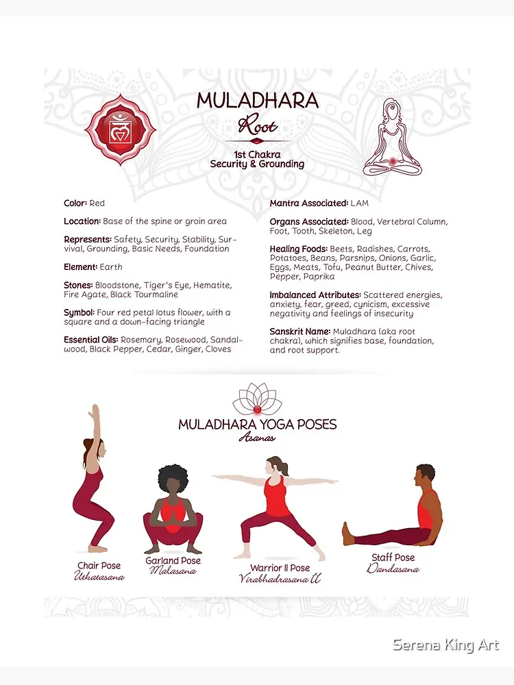 posturas yoga chakra raiz - Que equilibra el chakra raíz