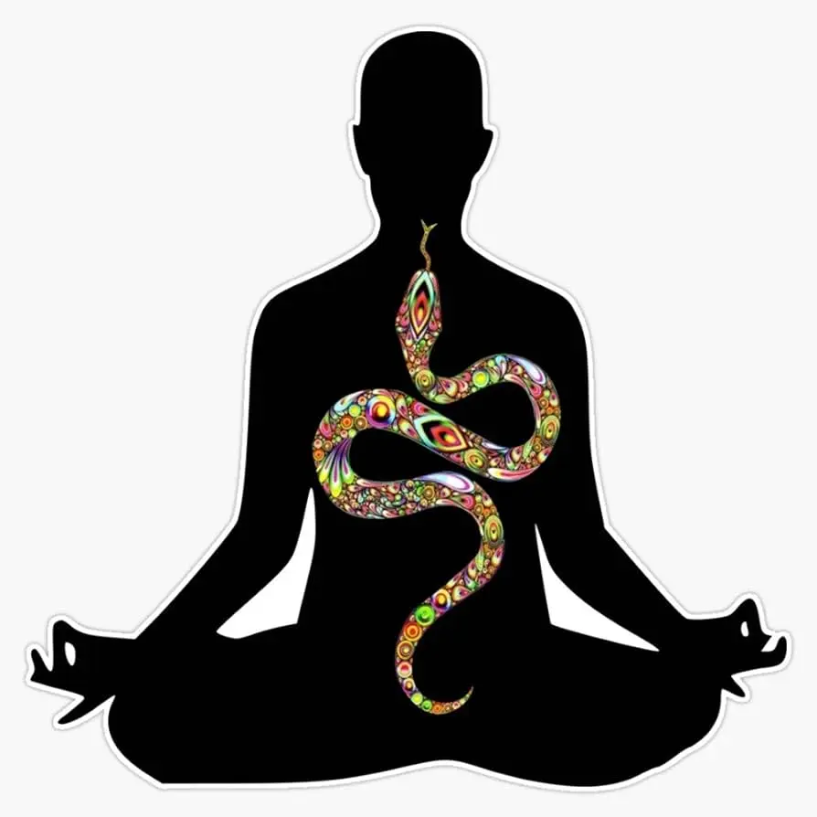 kundalini yoga snake - Qué es la serpiente de Kundalini