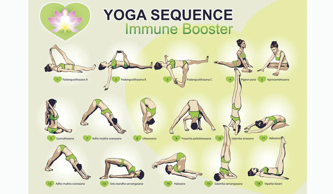 secuencia de yoga para el sistema inmunologico - Qué es un esquema inmunológico