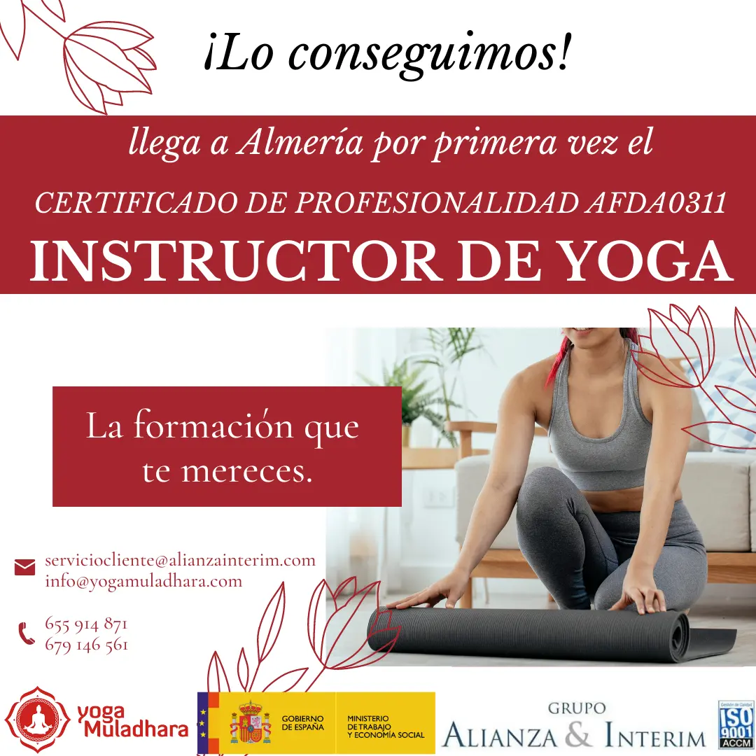 instructor de yoga certificado de profesionalidad - Quién puede obtener el certificado de profesionalidad