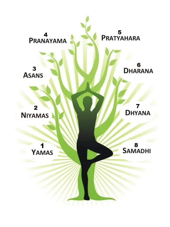 stages of yoga - What are the 4 stages of yoga