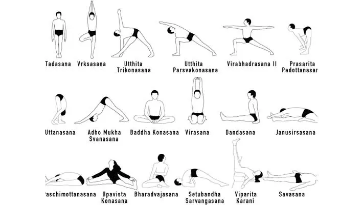 what is hatha yoga - What is special about Hatha yoga