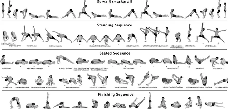 mysore yoga sequence - What is the primary yoga series