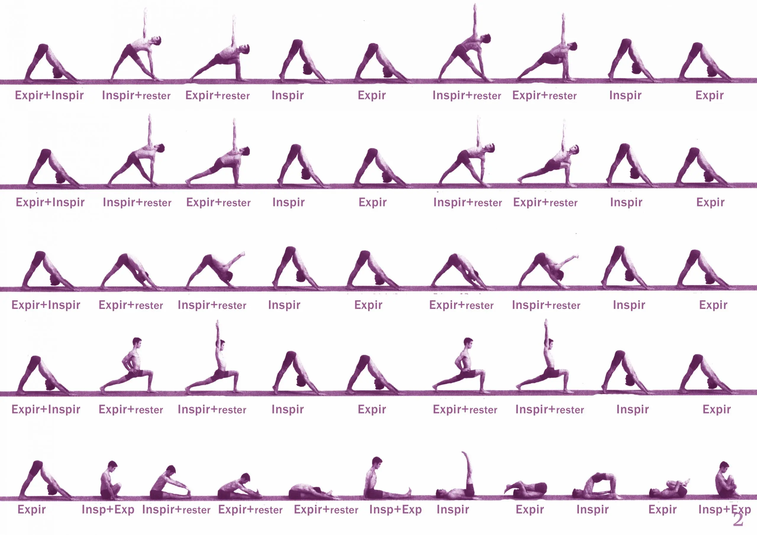 vinyasa krama yoga sequence - What is the sequence of the vinyasa flow