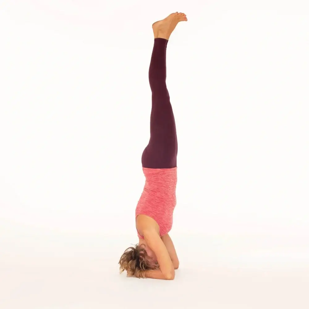 yoga headstand poses - What's the difference between handstand and headstand
