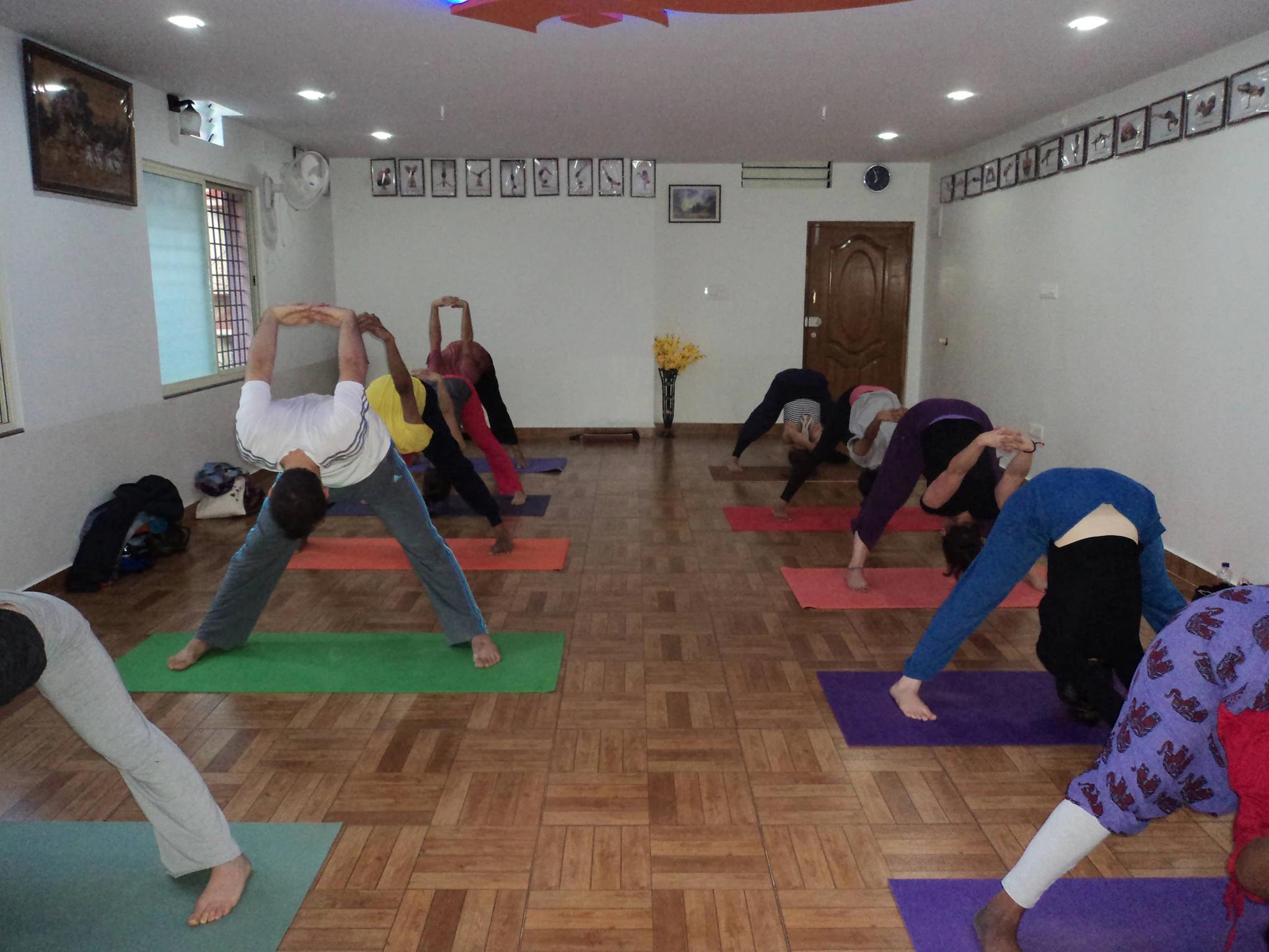 mysore india yoga teacher training - Who was the yoga guru in Mysore