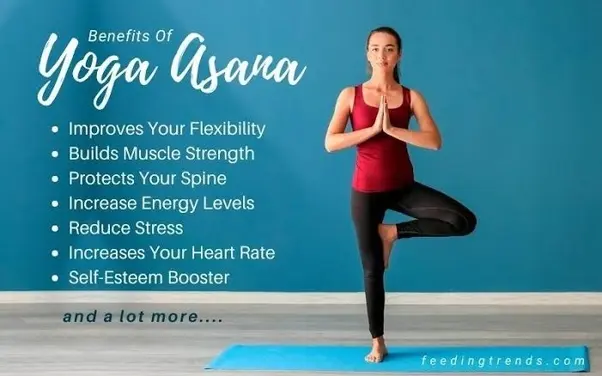 benefits of yoga asanas - Why is asana yoga important